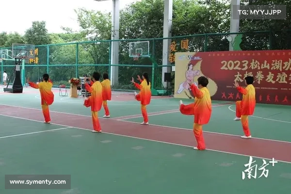 武林大会:太极拳传承与创新的时代对决 武林大会:太极拳传承与创新的时代对决